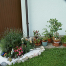 Feldkirch Fuchs Ritter G.JPG