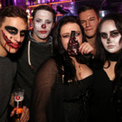 IMG_5011_jpg-1541084765.jpg