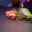 IMG_5115_jpg-1541085150.jpg