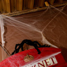 IMG_0152_jpg-1541087186.jpg