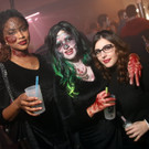 IMG_4960_jpg-1541088497.jpg