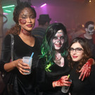 IMG_4961_jpg-1541088508.jpg