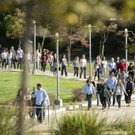 Google_Walkout_80283.jpg