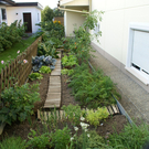 Feldkirch Jenny _6_.JPG