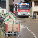 ABD0040-20181031.jpg