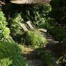 Feldkirch Kuster G .JPG