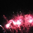 1335250.jpg