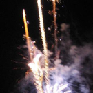 1335254.jpg