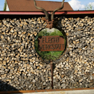 Feldkirch Kuster G  _3_.JPG