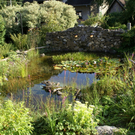 Feldkirch Kuster G  _5_.JPG