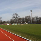 birkenwiese a.jpg