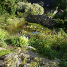 Feldkirch Kuster G  _6_.JPG