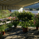 Feldkirch Schatzmann G  _2_.JPG