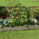 Frastanz Bertsch G .JPG