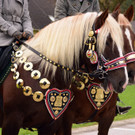 Leonhardiritt III