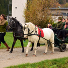 20181104fmt_LeonhardireitenGroedig_ex_04.JPG