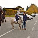 20181104fmt_LeonhardireitenGroedig_ex_11.JPG