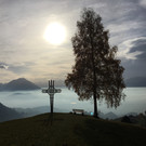 IMG_7387.JPG