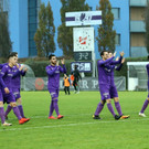 Austria Salzburg - Straßwalchen