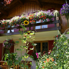 Lor__ns Leopolder G  _3_.JPG