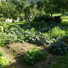 Nenzing Barwart G  _3_.JPG