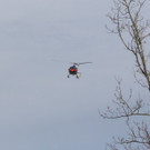 20181105fmt_branduntersberg_ta_016.JPG