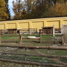 20181105fmt_hellbrunn_ta_010.JPG