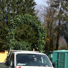 20181105fmt_hellbrunn_ta_015.JPG