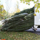 20181105fmt_hellbrunn_ta_018.JPG
