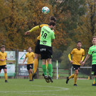 2018-11-04_0051_bearbeitet-1.jpg