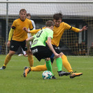 2018-11-04_0123_bearbeitet-1.jpg