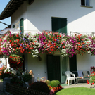 Nenzing Borg G  _4_.JPG