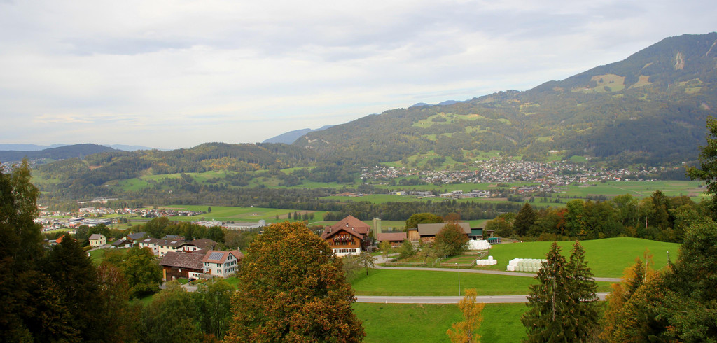 IMG_5975.JPG