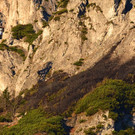 20181106fmt_L__scharbeitenUberg_ex_02.JPG