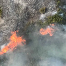 Feuer1 _1_.jpg