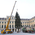 4_Baum schwebt__c_www_weihnachtsmarkt_co_at-FOTOFALLY.jpg
