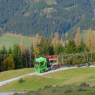 1_Auf dem Weg nach Sch__nbrunn___Bf-Archiv-W Simlinger.jpeg