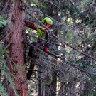 christbaum_2018_0017.jpg