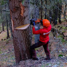 christbaum_2018_0030.jpg