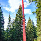 christbaum_2018_0044.jpg