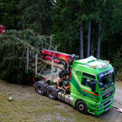 christbaum_2018_0080.jpg