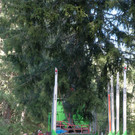 IMG_2790.jpeg