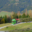 IMG_2795.jpeg
