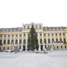 6_Baum-steht_c_www_weihnachtsmarkt_co__at-FOTOFALLY.jpg