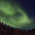 Kanada Alaska Harscher B _5__WEB.jpg