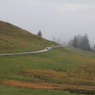 IMG_9409.JPG