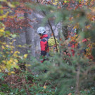 IMG_9475.JPG