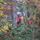 IMG_9476.JPG