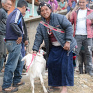 Nepal Wolfgang Bartl 3.jpg