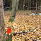 007_Tote_Lamprechtshausen_081118.jpg